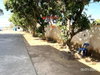 listing thumbnail image 12