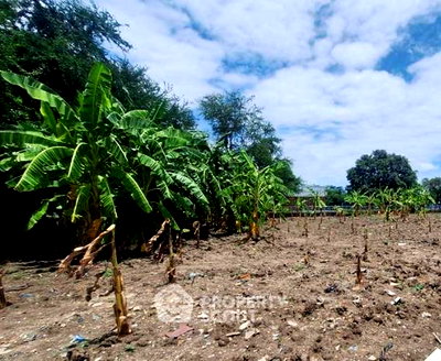 ที่ดิน อ่อนนุช 46 : ขายที่ดิน Mittraphap Village ใกล้สวนหลวง กรุงเทพฯ (ID 2991924)