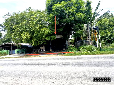 Houses for sale Loeng Nok Tha Yasothon : HOME 265 Sq.w. Loeng Nok Tha Yasothon for 1M