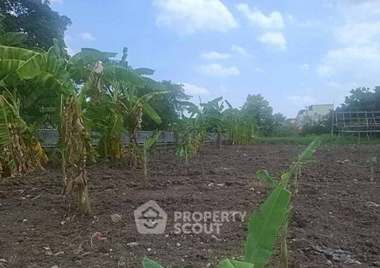 รูป ขายที่ดินเปล่า ทำเลสวนหลวง กรุงเทพ (ย่านสวนหลวง) (ID 2987159) - รูปที่ 3/5