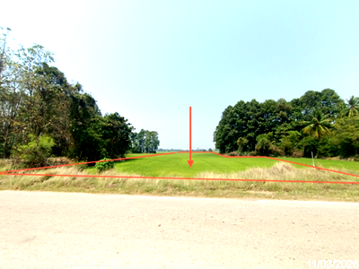 ขายที่ดิน : ที่ดินว่างเปล่า 2147 ตร.วา พรหมพิราม พิษณุโลก 1.9M