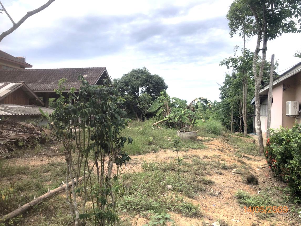 รูป ที่ดินว่างเปล่า 182.2 ตร.วา พระแสง สุราษฎร์ธานี 877,000 - รูปที่ 20/27