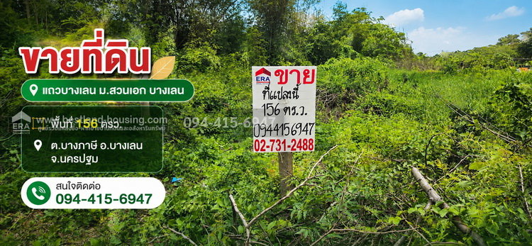 รูป ขายที่ดินแถวบางเลน ม.สวนเอก 156 ตรว. ต.บางภาษี อ.บางเลน จ.นครปฐม - รูปที่ 1/11
