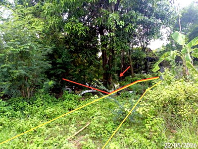ขายที่ดิน : ที่ดินว่างเปล่า 202 ตร.วา เชียงยืน มหาสารคาม 296,000