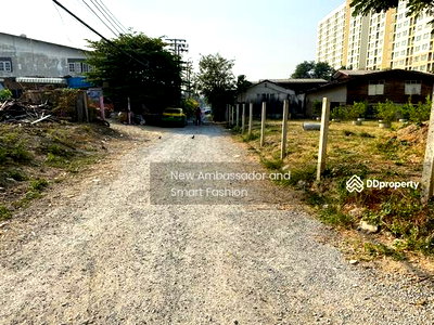 เช่าที่ดิน วิทยาลัยดุสิตธานี : ให้เช่าที่ดินเปล่า ถม เทปูน ทำรั้วแล้ว ลาซาล 41