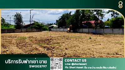 Land for sale Chiang Mai : Large, beautiful plot of land for sale in Saraphi, Chiang Mai. Roadside, filled and ready to build a house. SW003797