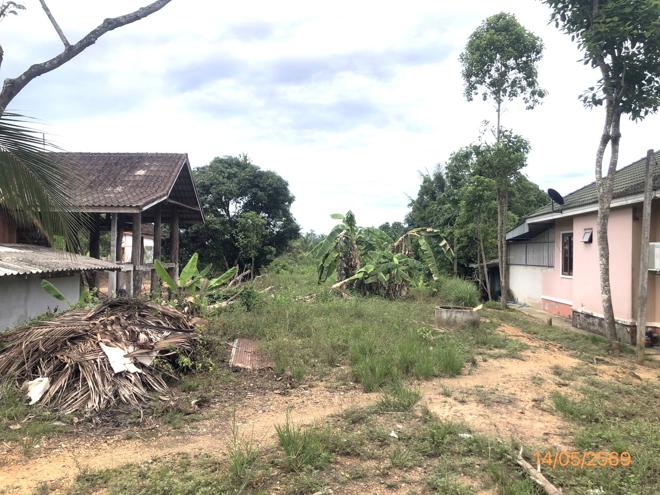 รูป ที่ดินว่างเปล่า 182.2 ตร.วา พระแสง สุราษฎร์ธานี 877,000 - รูปที่ 8/27