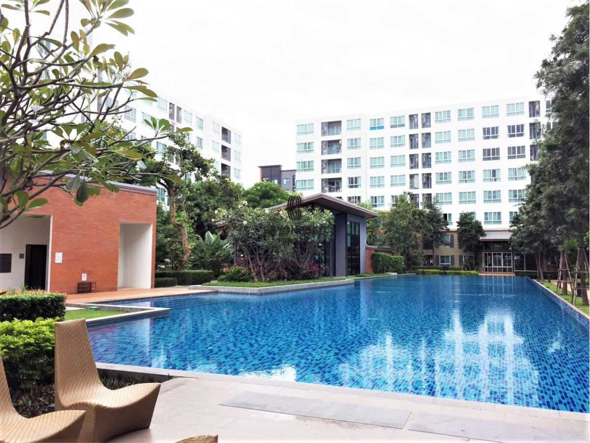 picture D Condo Nim Chiang Mai 🌟PN-00002077🌟 - 9/10