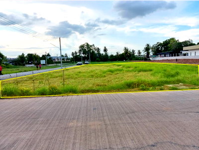 ที่ดิน ม.นเรศวร : ขายที่ดิน 1 ไร่ 1 งาน 38.6 ตร.วา บ้านกร่าง อ.เมืองพิษณุโลก ทำเลดี ใกล้ถนนสิงหวัฒน์ เหมาะลงทุน