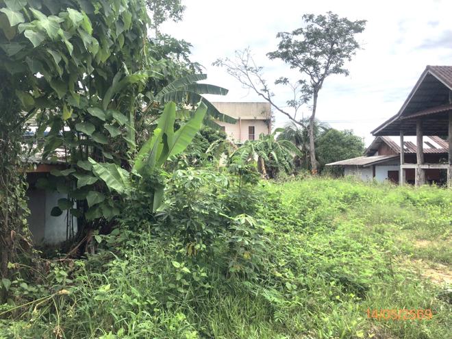รูป ที่ดินว่างเปล่า 182.2 ตร.วา พระแสง สุราษฎร์ธานี 877,000 - รูปที่ 10/27