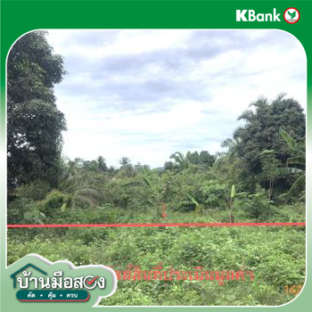 รูป ที่ดินว่างเปล่า 182.2 ตร.วา พระแสง สุราษฎร์ธานี 877,000 - รูปที่ 25/27