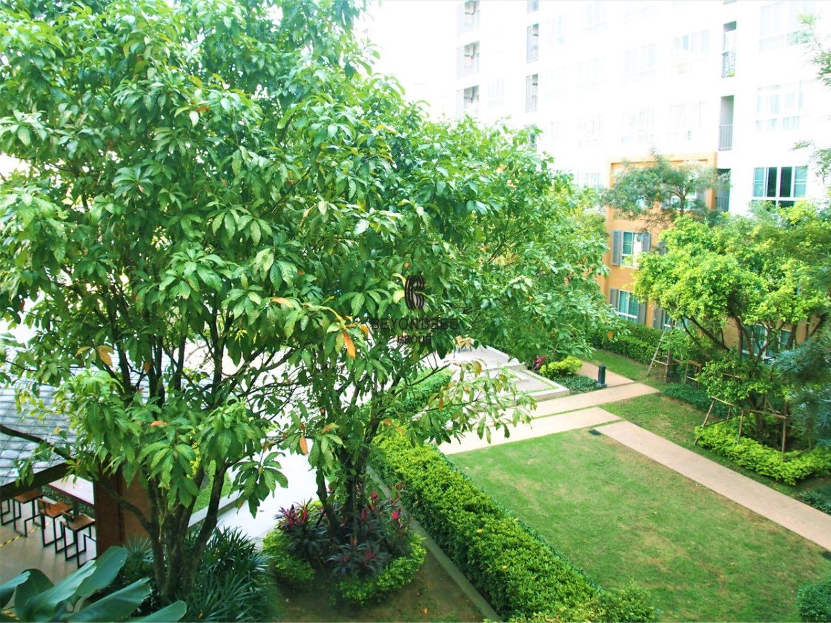 picture D Condo Nim Chiang Mai 🌟PN-00002077🌟 - 10/10