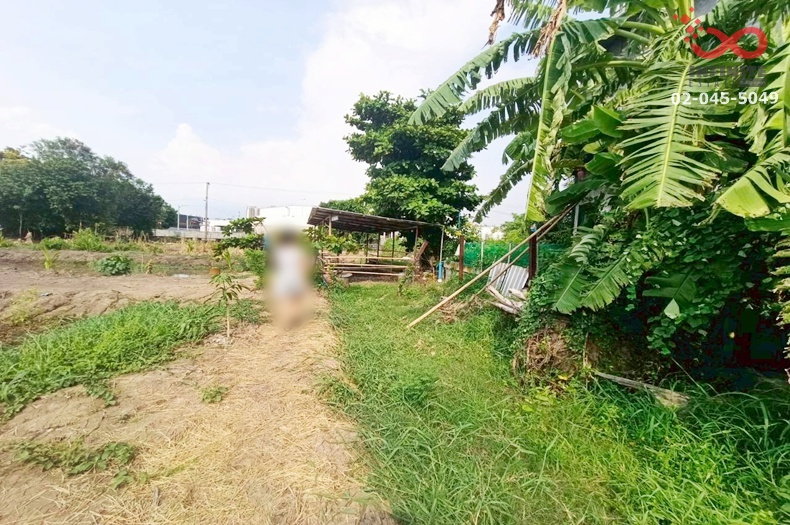 รูป ขายที่ดิน 196 ตร.ว. ถ.ติวานนท์ สุขาประชาสรรค์ 3 ปากเกร็ด นนทบุรี แปลงสวย ทำเลดี - รูปที่ 5/6