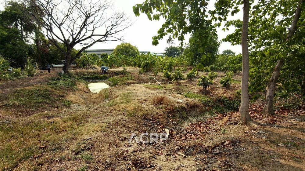 รูป ขายที่ดินทำเลทองริมถนนราชพฤกษ์(ฝั่งขาออก)ตรงข้าม Robinsonราชพฤกษ์ไพรม์โลเคชั่นสำหรับธุรกิจศักยภาพสูง - รูปที่ 4/8