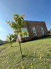 listing thumbnail image 25