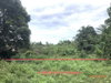 listing thumbnail image 23