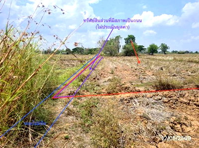 ขายที่ดิน : ที่ดินว่างเปล่า 5493 ตร.วา ดอกคำใต้ พะเยา 1.9M