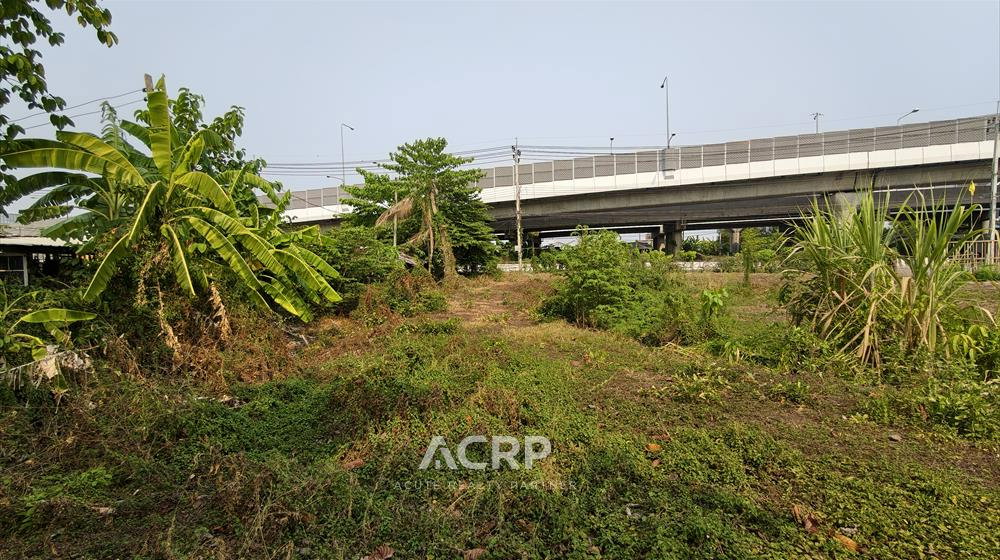 รูป ขายที่ดินทำเลทองริมถนนราชพฤกษ์(ฝั่งขาออก)ตรงข้าม Robinsonราชพฤกษ์ไพรม์โลเคชั่นสำหรับธุรกิจศักยภาพสูง - รูปที่ 2/8