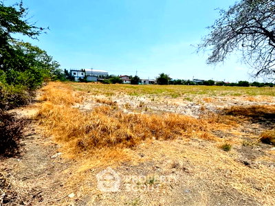 Land for sale TFD Industrial Estate : Land For Sale 46.9 Sqm Khlong Niyom Yattra, Bang Bo, Samut Prakan (ID 2968196)