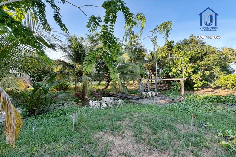 รูป ขายที่ดินถมแล้ว 5 ไร่ ติดคลองรังสิต-นครนายก คลอง 8 หนองเสือ ปทุมธานี พร้อมสิ่งปลูกสร้างบ้าน 3 หลัง - รูปที่ 10/14