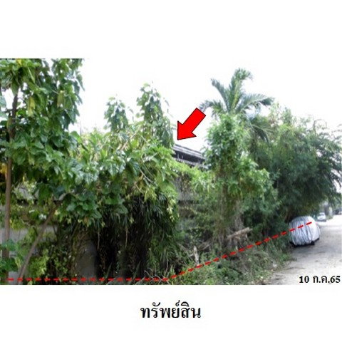 รูป Z3A1531 ขายโรงงาน หมู่ 9 ตำบล บางครุ อำเภอ พระประแดง จังหวัด สมุทรปราการ - รูปที่ 2/8