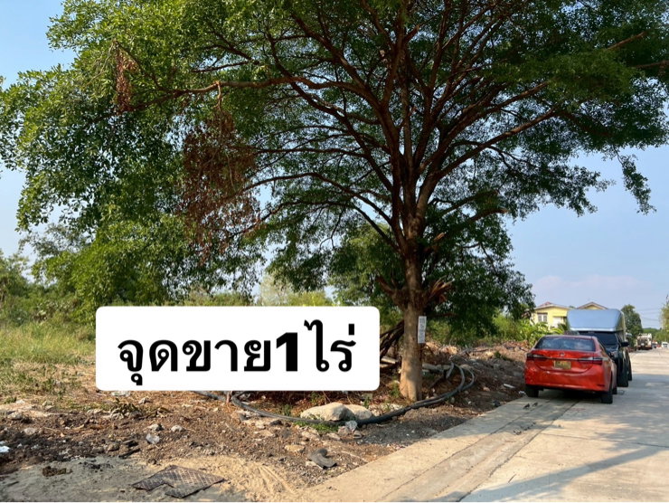 รูป ขายที่ดินรามอินทรา /เทพรักษ์ หลังร้านสุกี้ตี๋น้อย จูล0863377287 - รูปที่ 1/4