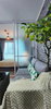 listing thumbnail image 6