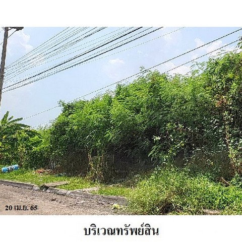 รูป Z1T2834 ขายที่ดิน โครงการ บิ๊กแลนด์ แฟคตอรี่ ตำบล คลองหนึ่ง อำเภอ คลองหลวง จังหวัด ปทุมธานี - รูปที่ 7/8