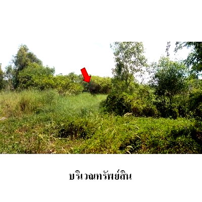 Land for sale ์Navanakorn : FOR SALE  LAND PROPERTY  5923000 BAHT.
