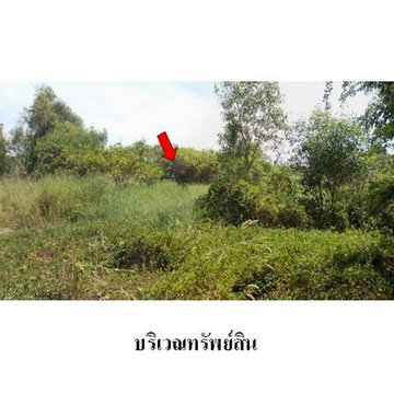 Z8Z6020 ขายที่ดิน โครงการ ไพน์เฮิร์สท กอล์ฟ แอนด์ คันทรีคลับ ตำบล คลองหนึ่ง อำเภอ คลองหลวง จังหวัด ปทุมธานี