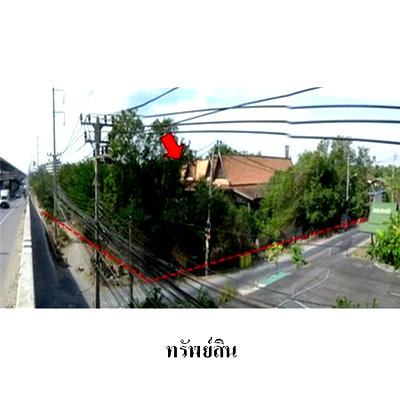 สำนักงาน สมุทรปราการ : Z8Z5996 ขายสำนักงาน ตำบล บางบ่อ อำเภอ บางบ่อ จังหวัด สมุทรปราการ