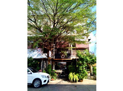 อาคารพาณิชย์ ถนนลาดพร้าววังหิน : Call : 094-419-9594 ขายอาคารพาณิชย์ ตึก 4 ชั้น โชคชัย 4 เขตลาดพร้าว รถไฟฟ้าสีเหลือง สถานีโชคชัย 4 อยู่หน้าปากซอย