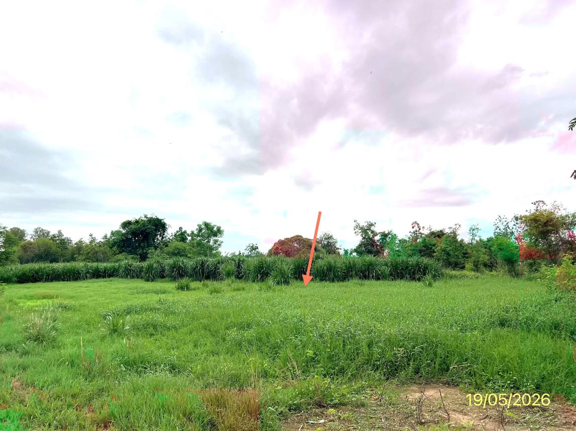 รูป ที่ดินว่างเปล่า 7131 ตร.วา ปากท่อ ราชบุรี 3.2M - รูปที่ 10/15