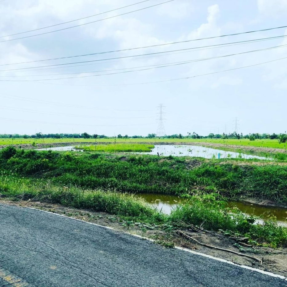 รูป ขายที่ดินหนองจอก ถนนมิตรไมตรี 4ไร่ 76ตรว ที่สวยติดคลอง - รูปที่ 3/3