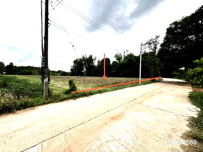 ขายที่ดิน : ที่ดินว่างเปล่า 1646 ตร.วา เมืองมุกดาหาร มุกดาหาร 1.3M