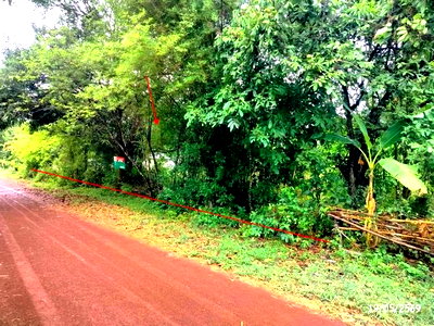 ขายที่ดิน : ที่ดินว่างเปล่า 952 ตร.วา วาริชภูมิ สกลนคร 1.3M