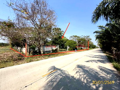 Houses for sale Nong Sua Pathumthani : HOME 1200 Sq.w. Nong Sua Pathumthani for 9.9M