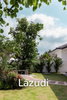 listing thumbnail image 13