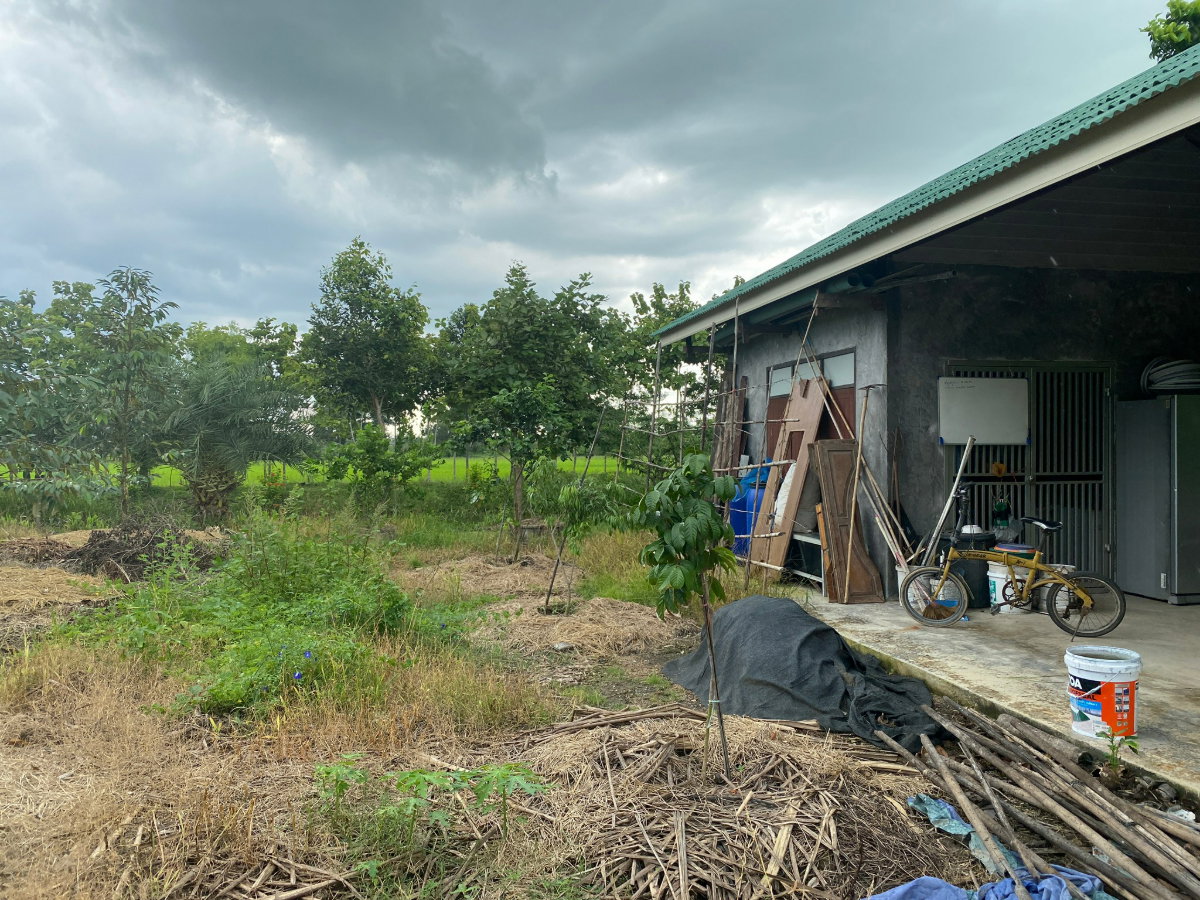 รูป ขายที่ดินพร้อมบ้าน โคกหนองนา มิตรไมตรี 6 หนองจอก มีนบุรี บ่อเลี้ยงปลา เลี้ยงไก่ ต้นไม้นานาชนิด - รูปที่ 6/8