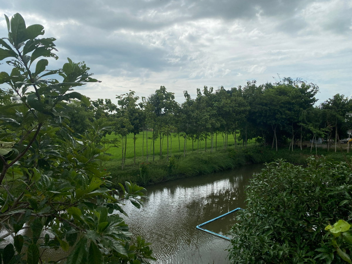 รูป ขายที่ดินพร้อมบ้าน โคกหนองนา มิตรไมตรี 6 หนองจอก มีนบุรี บ่อเลี้ยงปลา เลี้ยงไก่ ต้นไม้นานาชนิด - รูปที่ 7/8