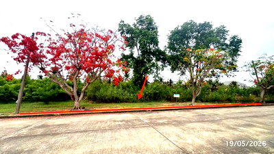 Land for sale Nakhon Chai Si District Office  : LAND 225 Sq.w. Nakhon Chai Sri Nakhon Pathom for 3.3M