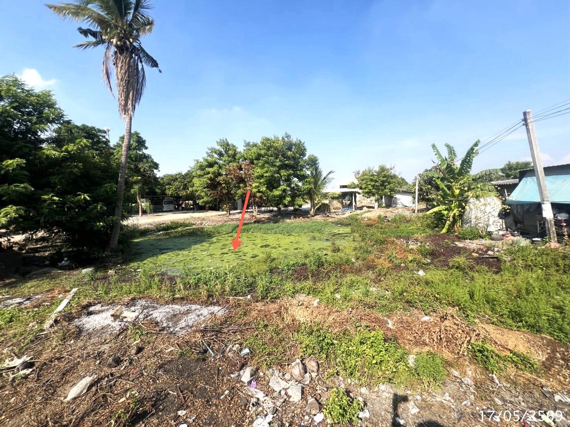 รูป โกดัง 800 ตร.วา สองพี่น้อง สุพรรณบุรี 2.9M - รูปที่ 41/45