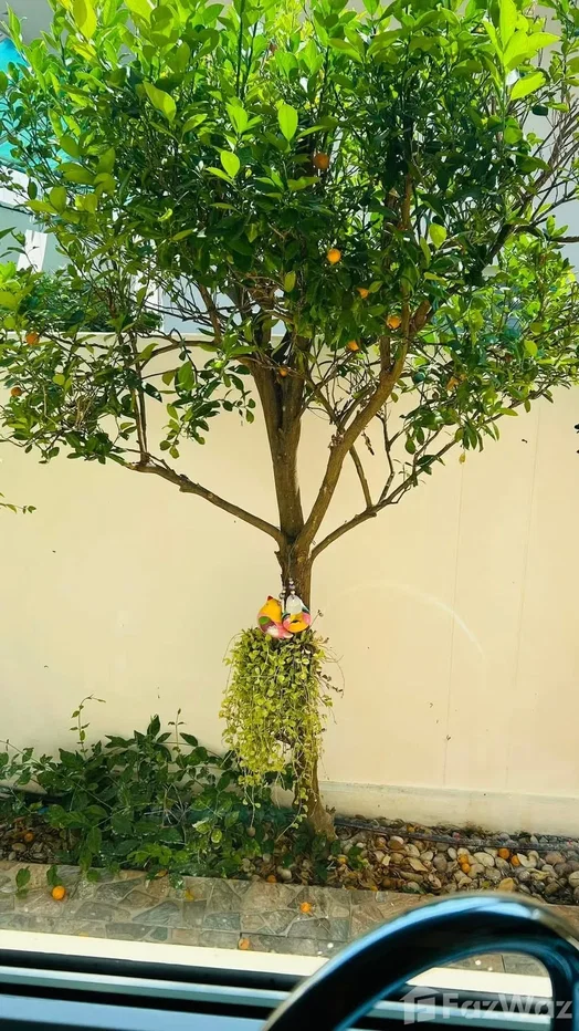 รูป ขาย บ้านเดี่ยว 3 ห้องนอน ในโครงการ ลาวัลเล่ ไลท์ 6478842 - รูปที่ 18/19