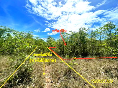Land for sale : LAND 50 Sq.w. Rattaphum Songkhla for 225,000