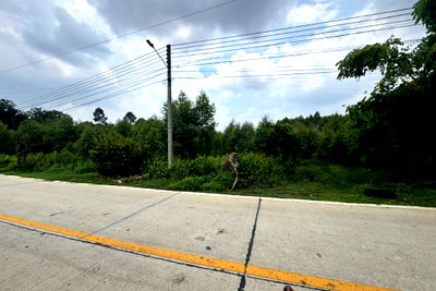 Land for sale Chonburi : Land for sale near the industrial estate(Owner selling by themselves
