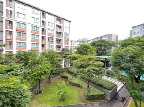 🌿🏢 ปล่อยเช่า ดีพิงค์ คอนโดเชียงใหม่ วิวสวน พร้อมเข้าอยู่ ✨