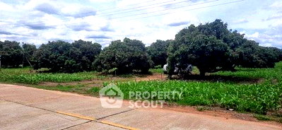 ที่ดิน พร้าว เชียงใหม่ : ขายที่ดินเปล่า แม่เหวิน พร้าว เชียงใหม่ (ID 3009031)