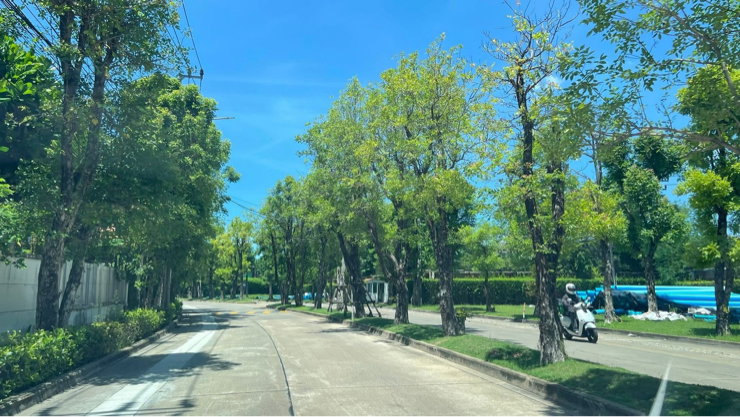 รูป ขายบ้านเดี่ยว มัณฑนา ปิ่นเกล้า พระราม5 - รูปที่ 5/6