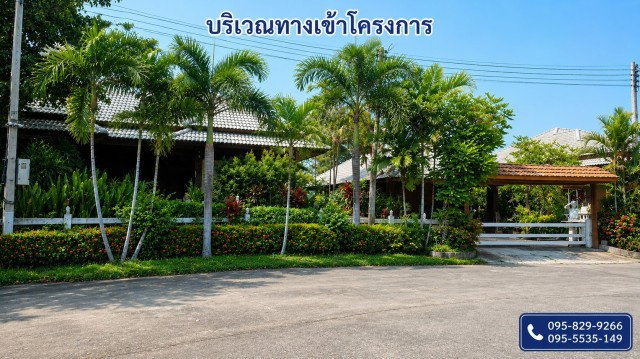 รูป ขายที่ดินถมแล้ว 2-0-01ไร่ โครงการ Wellness City (เวลเนสซิตี้) เพื่อการพักวัยเกษียณ ใกล้ถนนปทุมธานี-สามโคก-เสนา (ทล.3111)อ.บางไทร จ.อยุธยา - รูปที่ 7/8