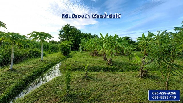 รูป ขายที่ดินถมแล้ว 2-0-01ไร่ โครงการ Wellness City (เวลเนสซิตี้) เพื่อการพักวัยเกษียณ ใกล้ถนนปทุมธานี-สามโคก-เสนา (ทล.3111)อ.บางไทร จ.อยุธยา - รูปที่ 2/8